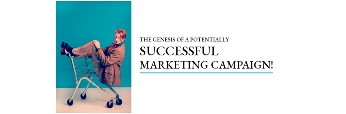 The Genesis of a Potentially Successful Marketing Campaign!